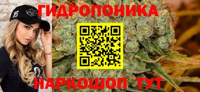 гидра Обнинск