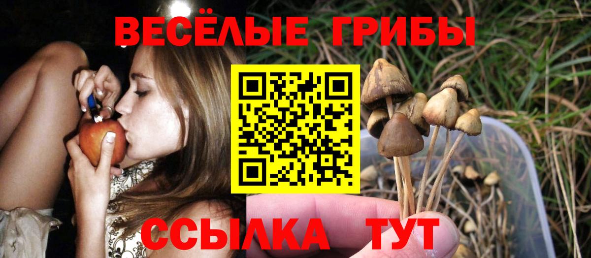 Галлюциногенные грибы прущие грибы Тимашёвск