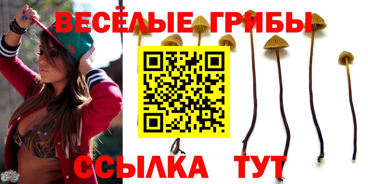 Псилоцибиновые грибы Psilocybine cubensis  Вход с VPN  магазин продажи наркотиков  Тимашёвск 